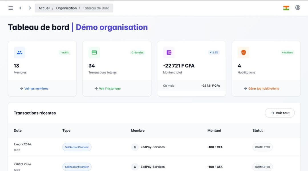 ZedPay Organisation Analytics